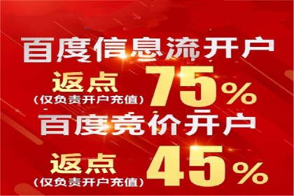 百度推广在电商行业的成功案例